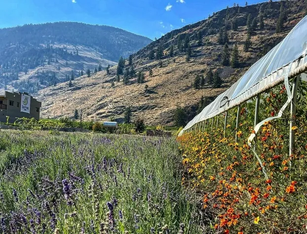 Tree To Me Inn hotel detail image 3