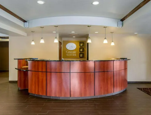 Comfort Suites Seaford hotel detail image 3