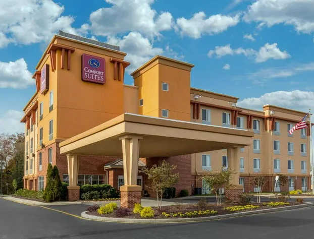 Comfort Suites Seaford hotel detail image 1