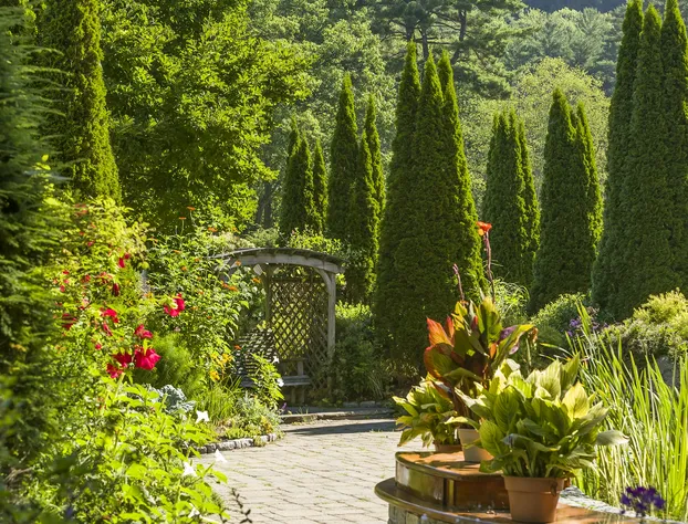 Lake Morey Resort hotel detail image 4