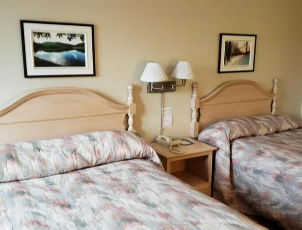 Motel Le Transit hotel detail image 4