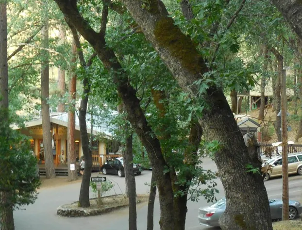 Yosemite Bug Rustic Mountain Resort hotel detail image 1