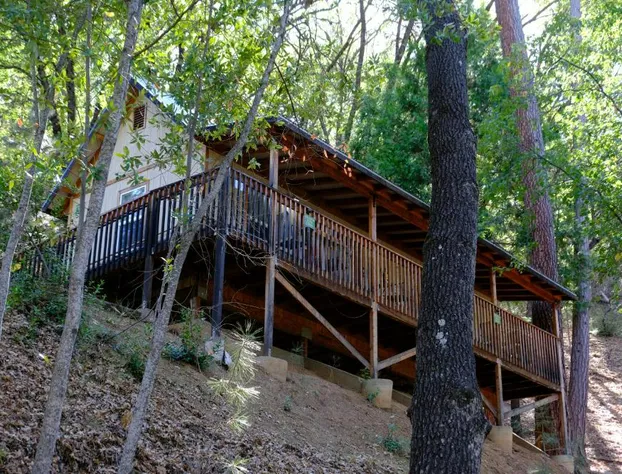 Yosemite Bug Rustic Mountain Resort hotel detail image 4