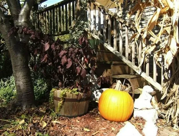 Boyden House Inn B&B hotel detail image 3
