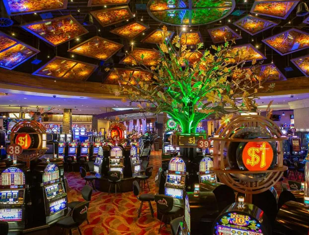 The Hotel at Black Oak Casino Resort hotel detail image 1