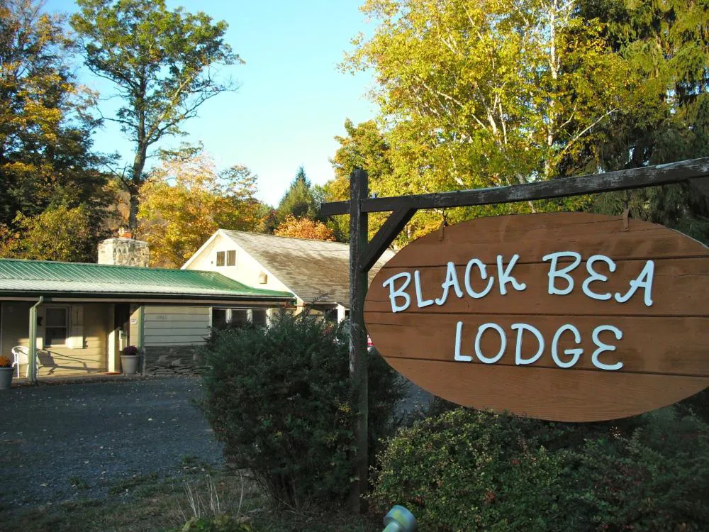 Black Bear Lodge hotel hero