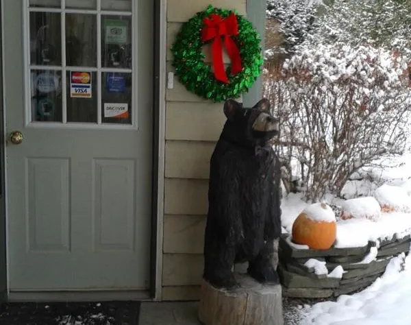 Black Bear Lodge hotel detail image 3