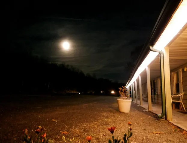 Black Bear Lodge hotel detail image 4