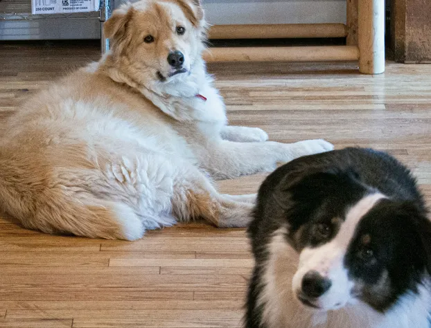 North Creek Lodge at Gore Mountain hotel detail image 3