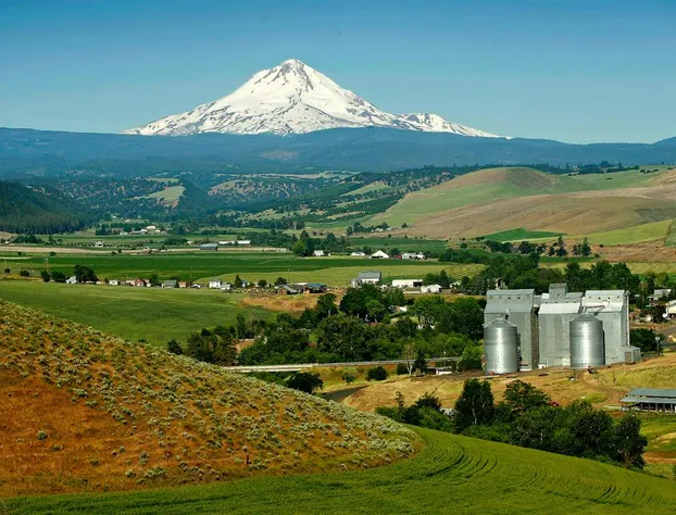 Balch Hotel hotel detail image 3