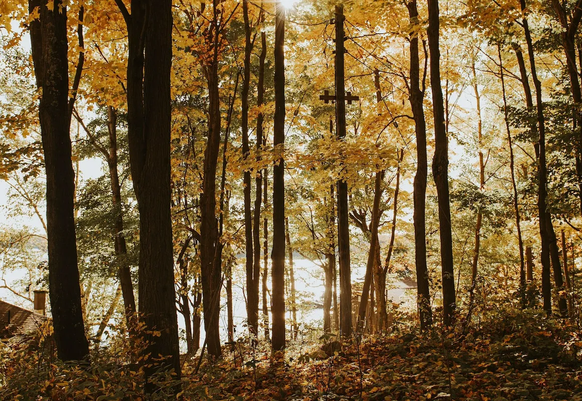 Lang Lake Resort hotel hero