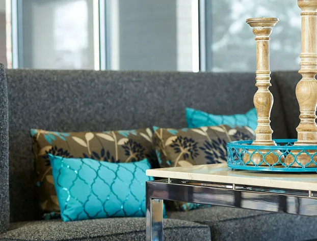 Courtyard by Marriott Denver South/Park Meadows Mall hotel detail image 3