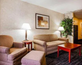 Comfort Suites Independence - Kansas City hotel detail image 3