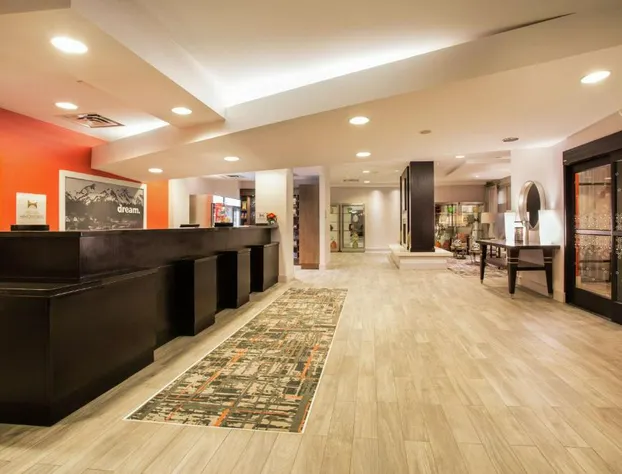 Hampton Inn & Suites Denver-Downtown hotel detail image 4