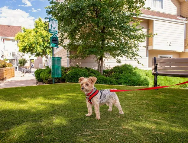 Residence Inn by Marriott Denver Downtown hotel detail image 1