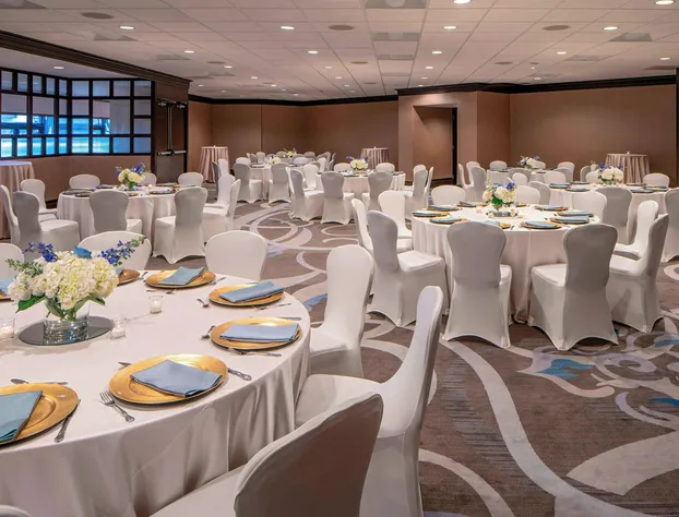 Sheraton Houston Brookhollow Hotel hotel detail image 3