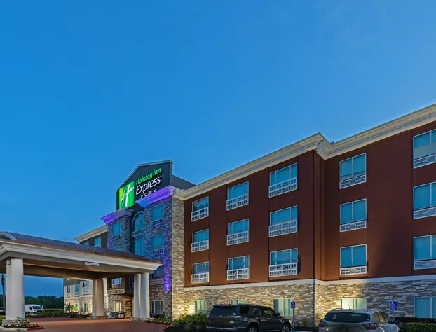 Holiday Inn Express Hotel & Suites - Houston Space Center by IHG hotel detail image 1