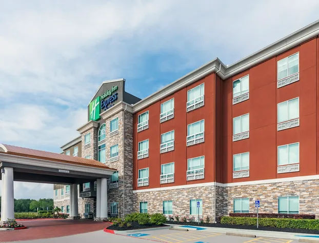 Holiday Inn Express Hotel & Suites - Houston Space Center by IHG hotel detail image 2