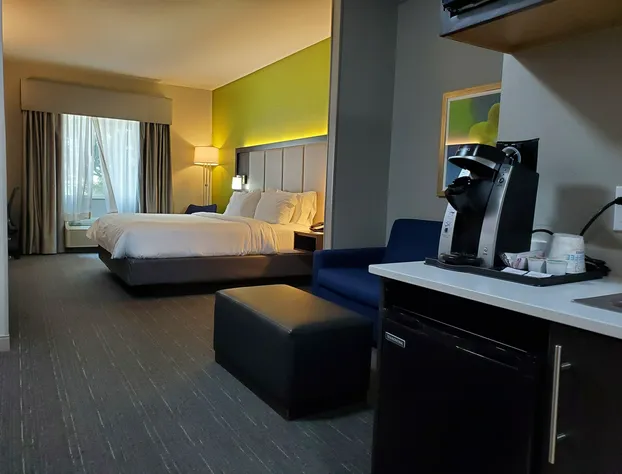 Holiday Inn Express Hotel & Suites Pearland by IHG hotel detail image 4