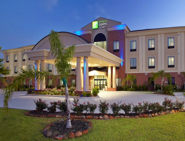 Holiday Inn Express & Suites Deer Park by IHG hotel detail image 4