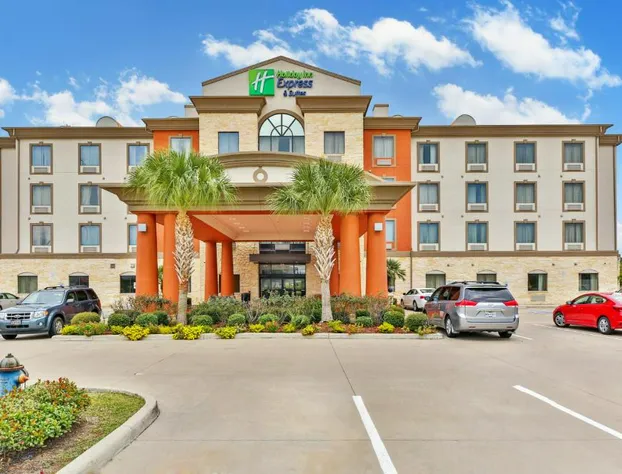 Holiday Inn Express & Suites Houston South near Pearland by IHG hotel detail image 2
