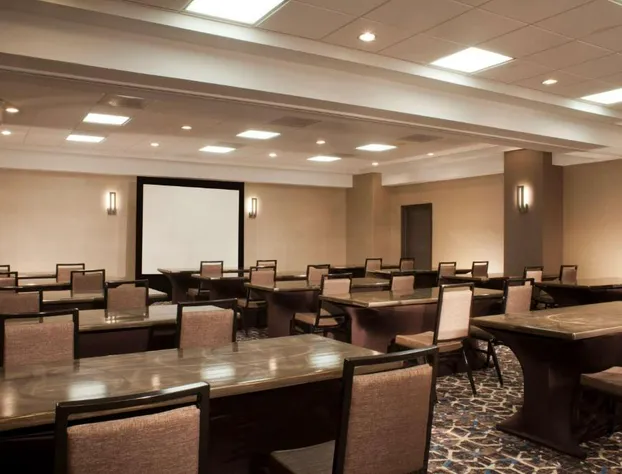 Embassy Suites by Hilton Houston Near the Galleria hotel detail image 4