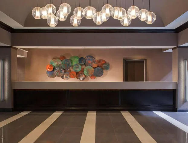 Embassy Suites by Hilton Houston Near the Galleria hotel detail image 2