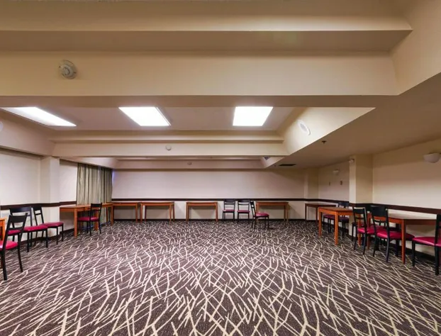 Red Roof Inn PLUS+ & Suites Houston - IAH Airport SW hotel detail image 2