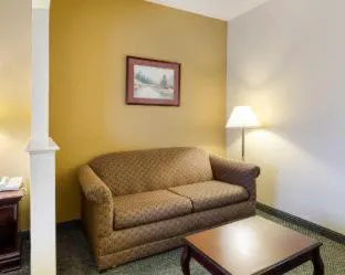 Comfort Suites Bush Intercontinental Airport hotel detail image 4