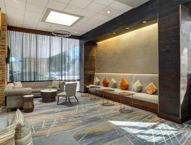 Houston Marriott North hotel detail image 3