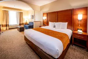 Comfort Suites Houston near Medical Center- NRG Stadium hotel detail image 2