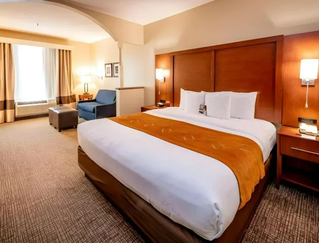 Comfort Suites Houston near Medical Center- NRG Stadium hotel detail image 3