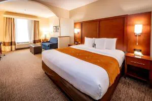 Comfort Suites Houston near Medical Center- NRG Stadium hotel detail image 3