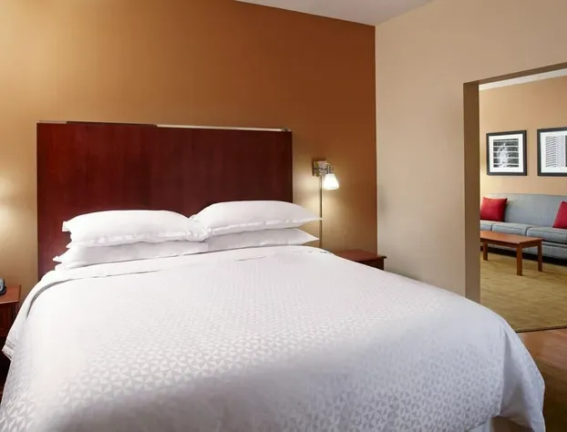 Four Points by Sheraton Houston Hobby Airport hotel detail image 4