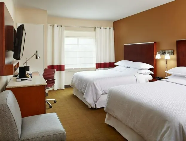 Four Points by Sheraton Houston Hobby Airport hotel detail image 4