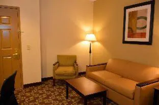 Best Western Plus Hobby Airport Inn & Suites hotel detail image 4
