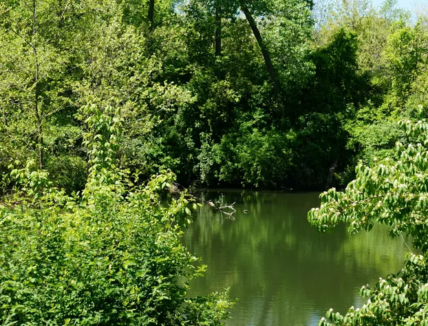Days Inn & Suites by Wyndham Sam Houston Tollway hotel detail image 1