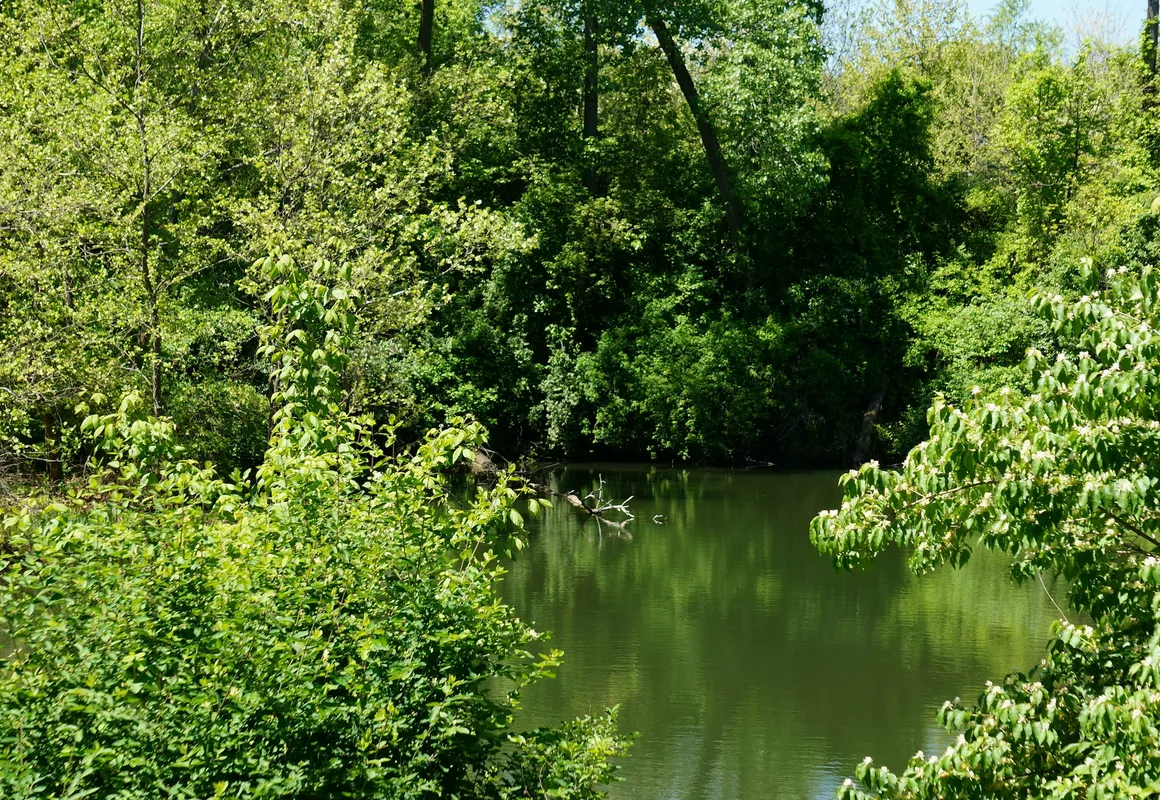 Days Inn & Suites by Wyndham Sam Houston Tollway hotel hero