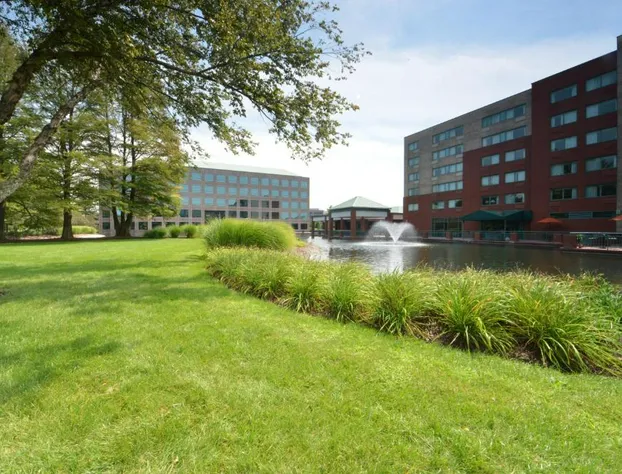 Elimwood Hotel, a Ramada by Wyndham hotel detail image 3