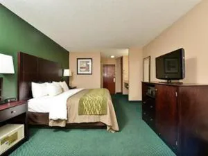 Quality Inn & Suites Arnold hotel detail image 4