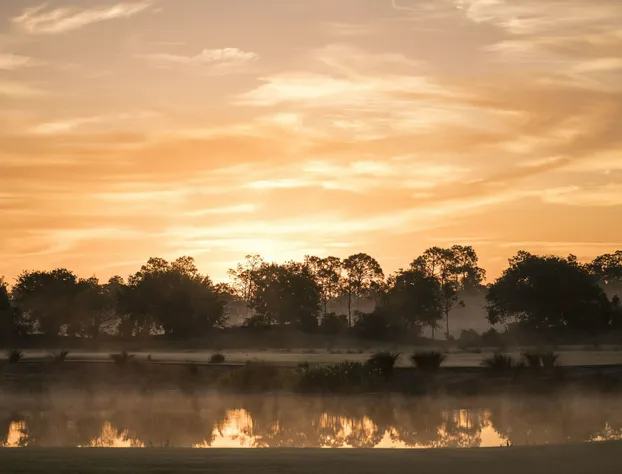 The Ritz-Carlton Naples, Tiburón hotel detail image 4