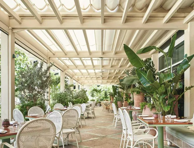 Four Seasons Resort Palm Beach hotel detail image 4