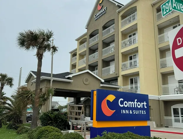 Comfort Inn & Suites hotel detail image 1