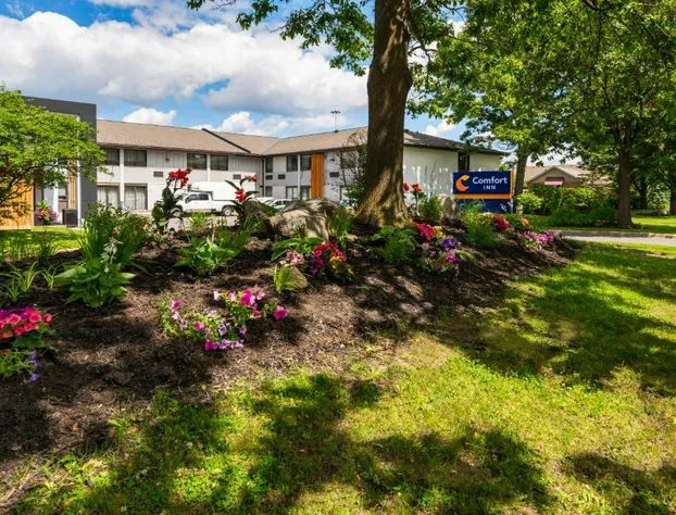 Comfort Inn Ottawa West Kanata hotel detail image 1