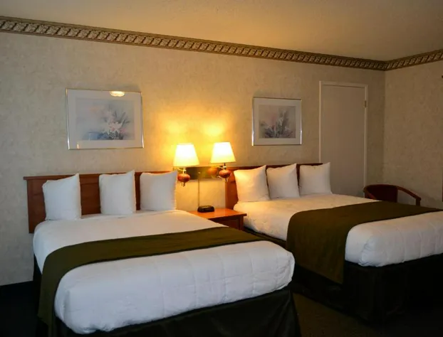 Quality Inn & Suites Silicon Valley hotel detail image 3