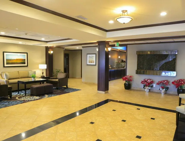 Staybridge Suites Silicon Valley by IHG hotel detail image 4