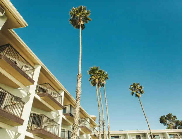 Shore Cliff Hotel hotel detail image 3