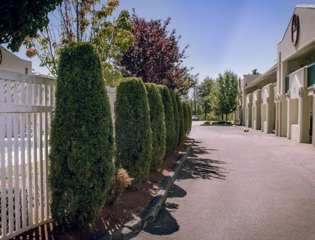 Quality Inn & Suites Lexington hotel detail image 2