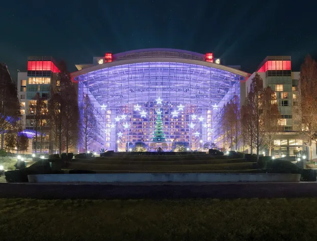 Gaylord National Resort & Convention Center hotel detail image 2