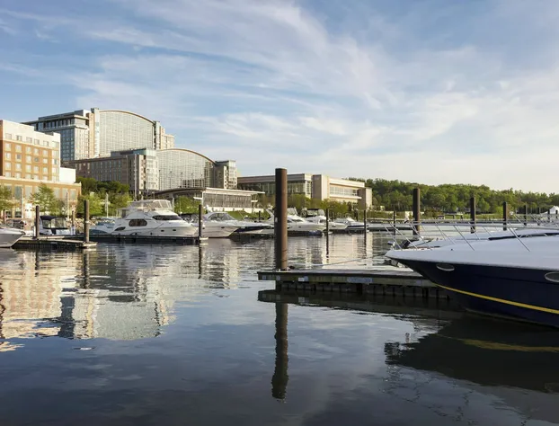 Gaylord National Resort & Convention Center hotel detail image 3